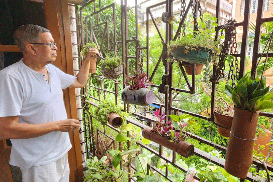 Asoke Dalui checks out hanging plants on his grill.