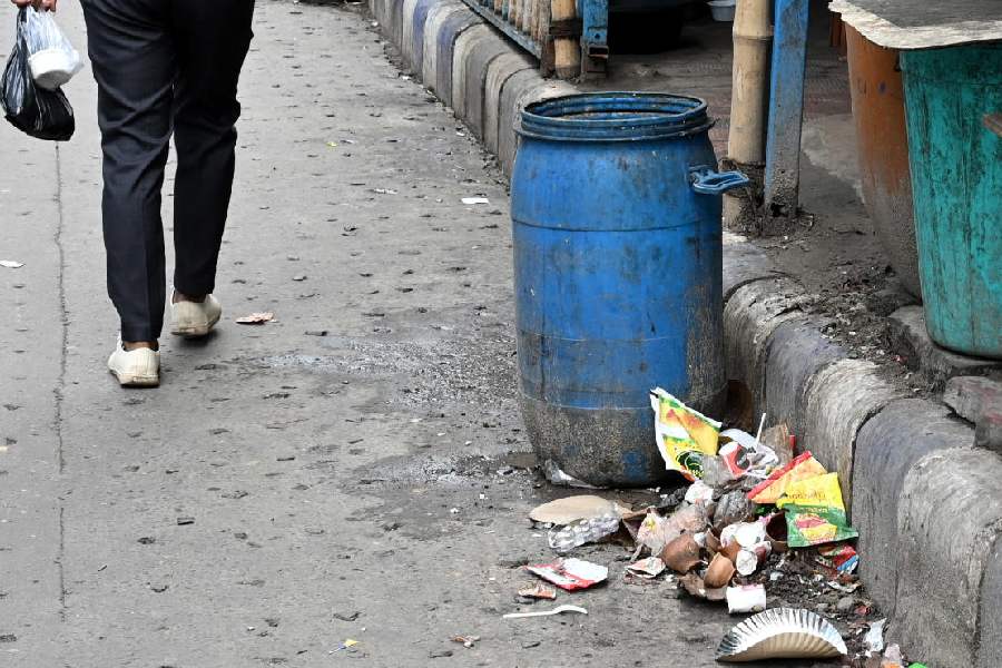 Plastic and other waste dumped along the road near the Webel building in Sector V on Thursday