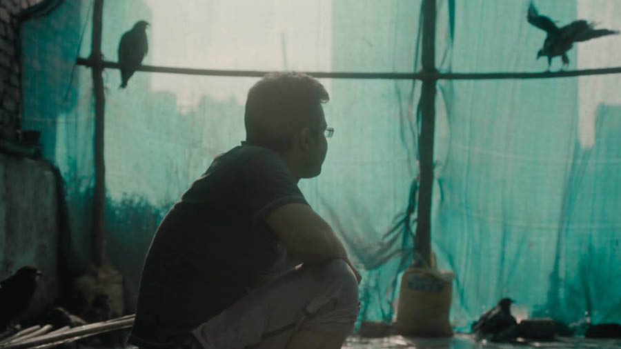 A moment from All That Breathes.