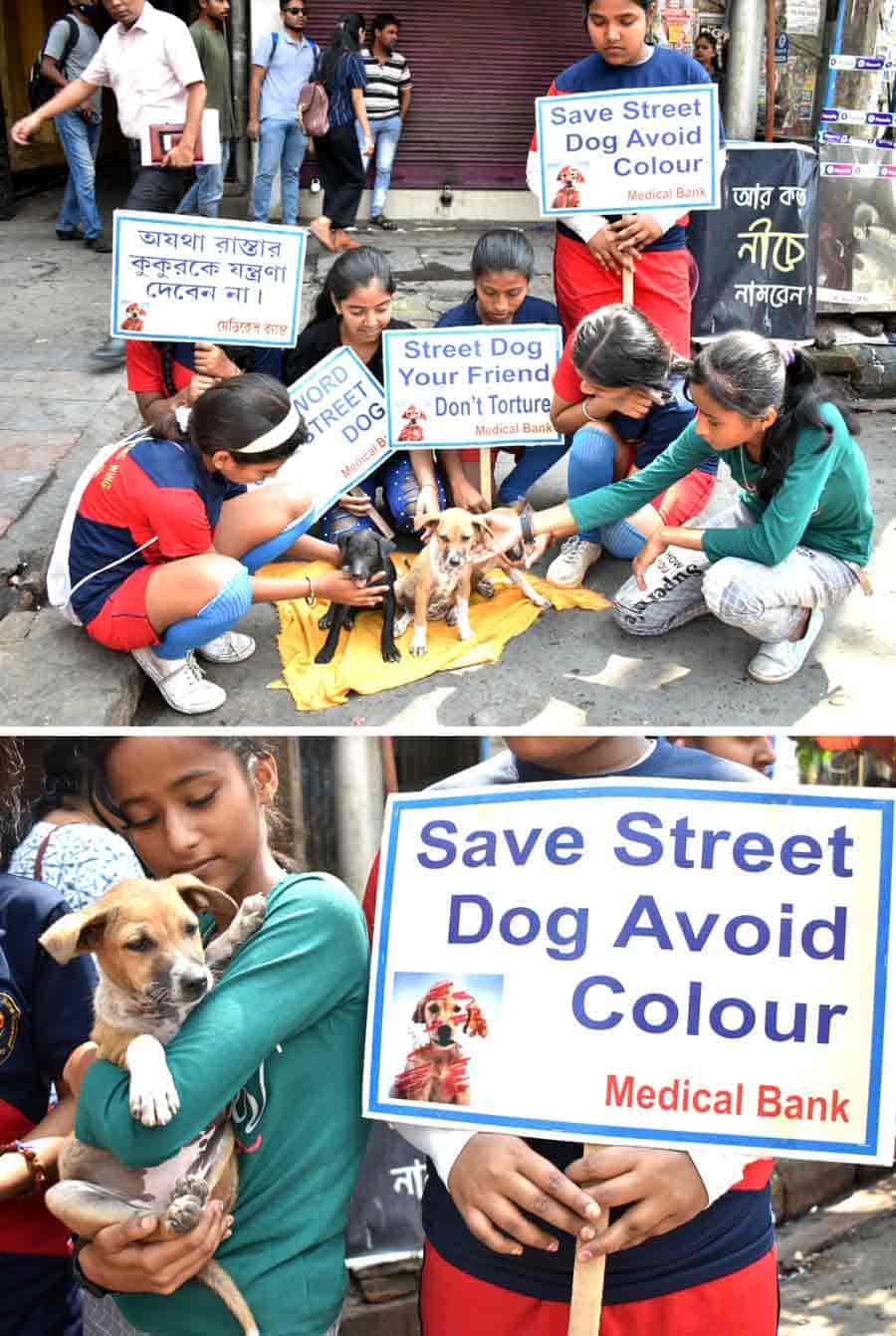 An awareness campaign organised by Medical Bank emphasised the need to protect street dogs from harmful colours, ahead of Holi celebrations 