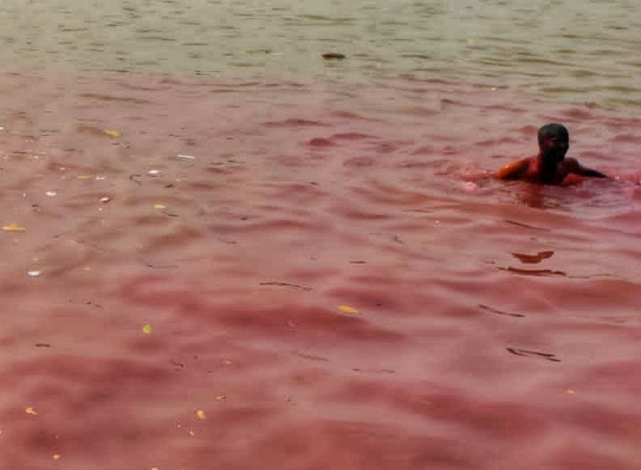 A man takes a dip in the Hooghly at Ahiritola Ghat after playing Holi on Wednesday. Environmentalists frowned over the possibility of chemical colours polluting the river. Kolkata Police had raided and seized samples of fake colours from various parts of the city in the run-up to Dol and Holi