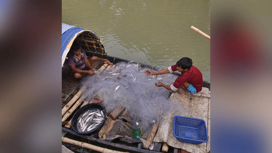 Fishermen inspect their catch on river Hooghly on Thursday