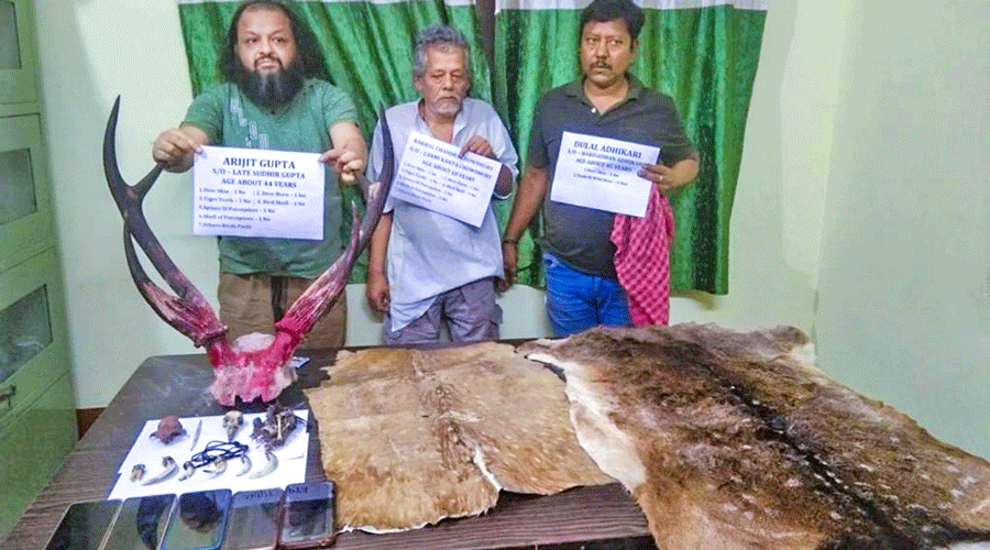 The arrested trio with a deer skin, two antlers, a tiger tooth, a porcupine skull and body parts of birds that were seized from a house in Nagerbazar.
