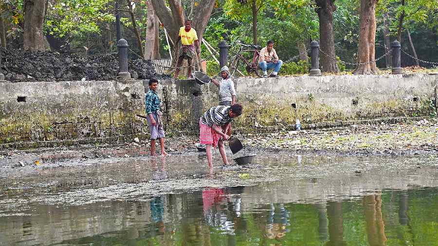 Drastic fall in Rabindra Sarobar water level triggers risk for rowers