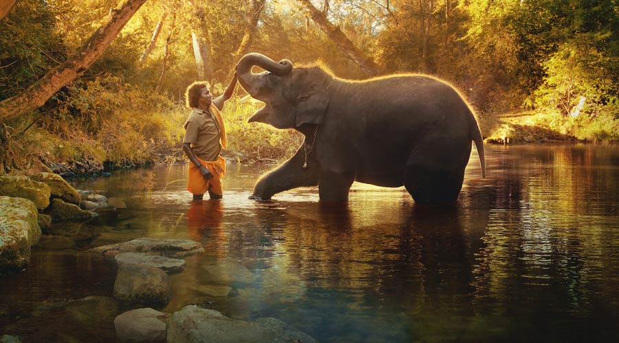 Conservationists are hopeful that this year’s Academy Award for the documentary, The Elephant Whisperers, an entry from India, will promote a greater understanding of the complex but interconnected relationship between these pachyderms and humans