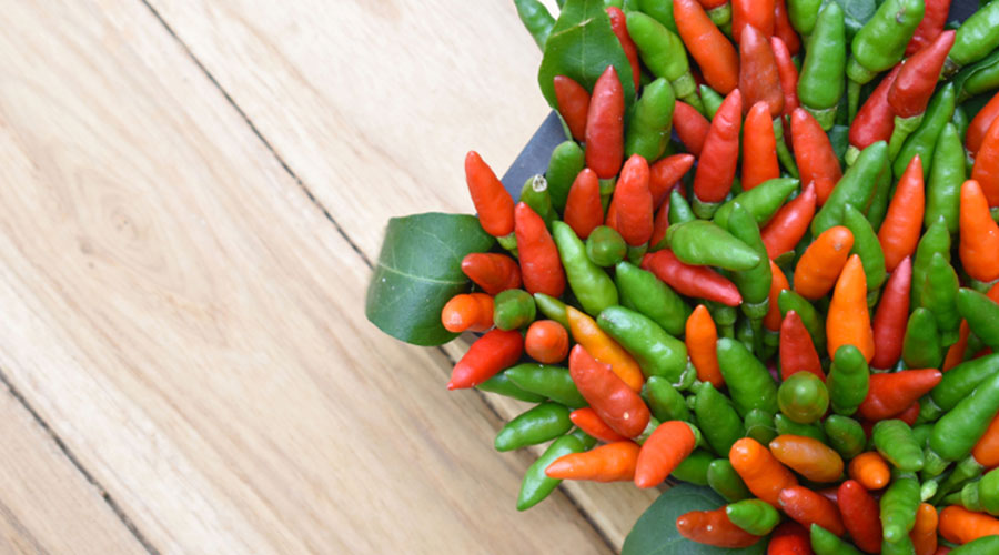 Bird's Eye Chilli - Eco-Fruits: Fruits Exporter