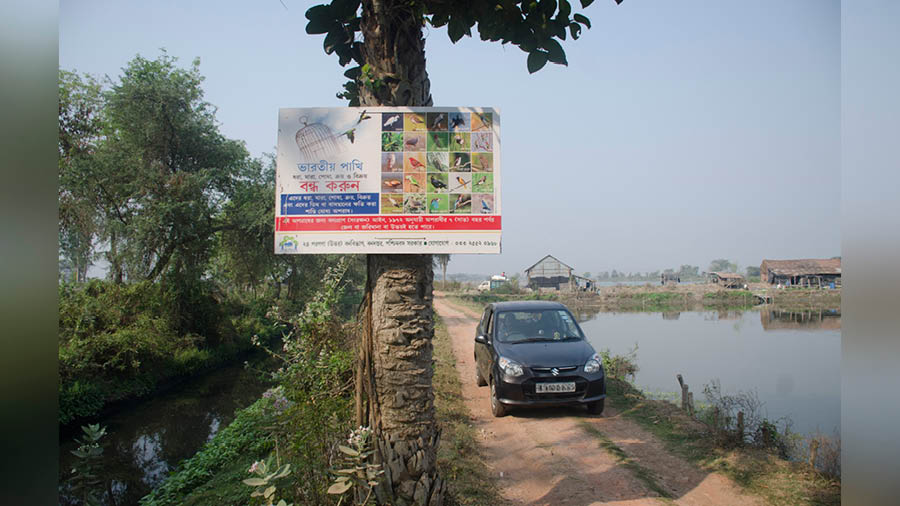 Road to Kamduni wetland. A car travels past a sign by the forest department meant for creating awareness against caged Indian birds 