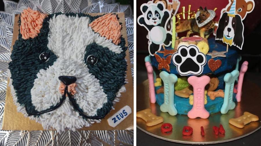 Bake This Dog Cake Recipe for the Best Birthday Ever | BeChewy