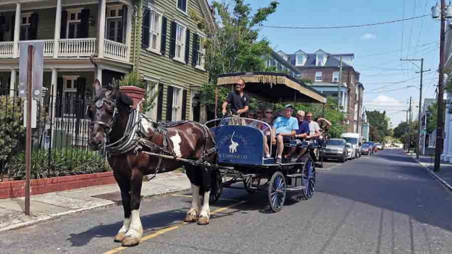 A carriage tour is one of the quintessential experiences to savour in Charleston