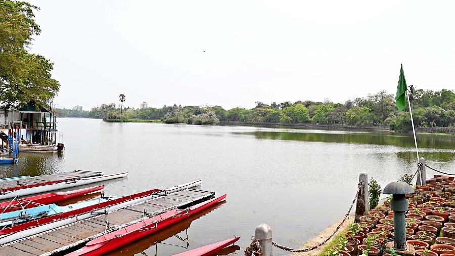 A green flag flutters by Rabindra Sarobar on Sunday morning, indicating the weather is good for rowing