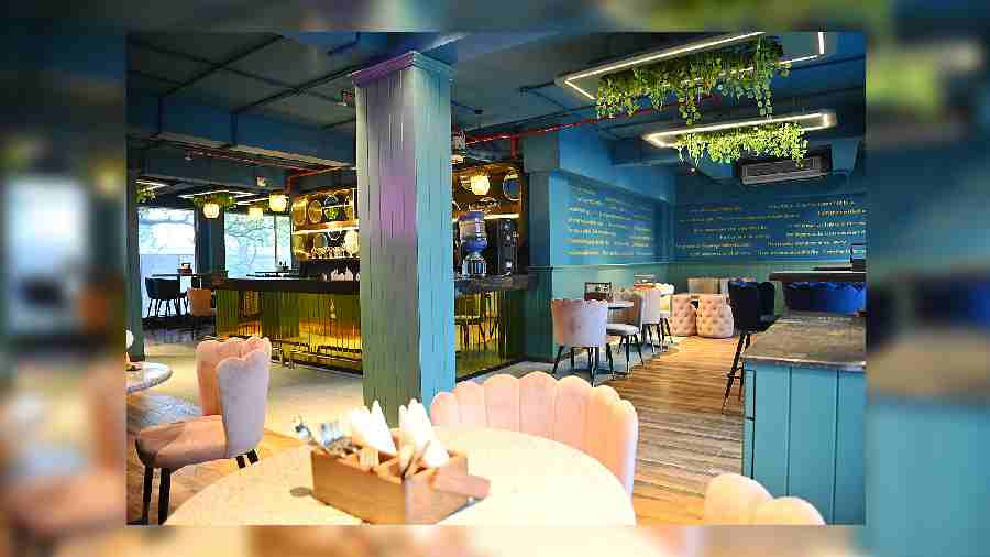 As you walk in, Café Enigma you will experience a splash of cool colours like blue and pastel green, which will calm your senses instantly. The LED ceiling lights with hanging faux grass aesthetically light up the whole place