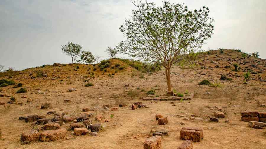 Scattered stone blocks on Langudi hill