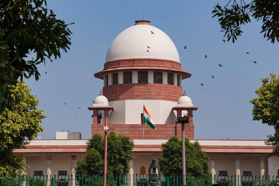 Delhi government moves Supreme Court against National Green Tribunal order to set up panel under LG to monitor solid waste management - Telegraph India