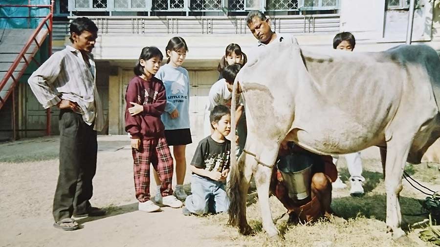 Shiomi Komiyama (second from left) watching a cow being milked on the school’s campus, in 1994