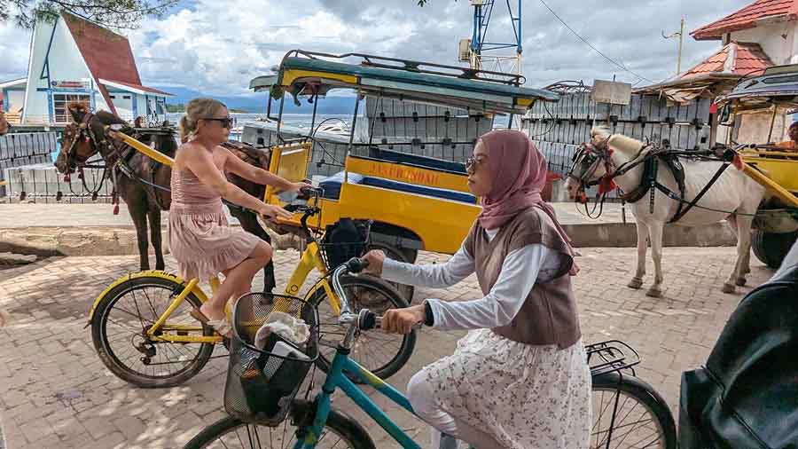 Pedal, paddle or ride on horse-pulled carts on the island 