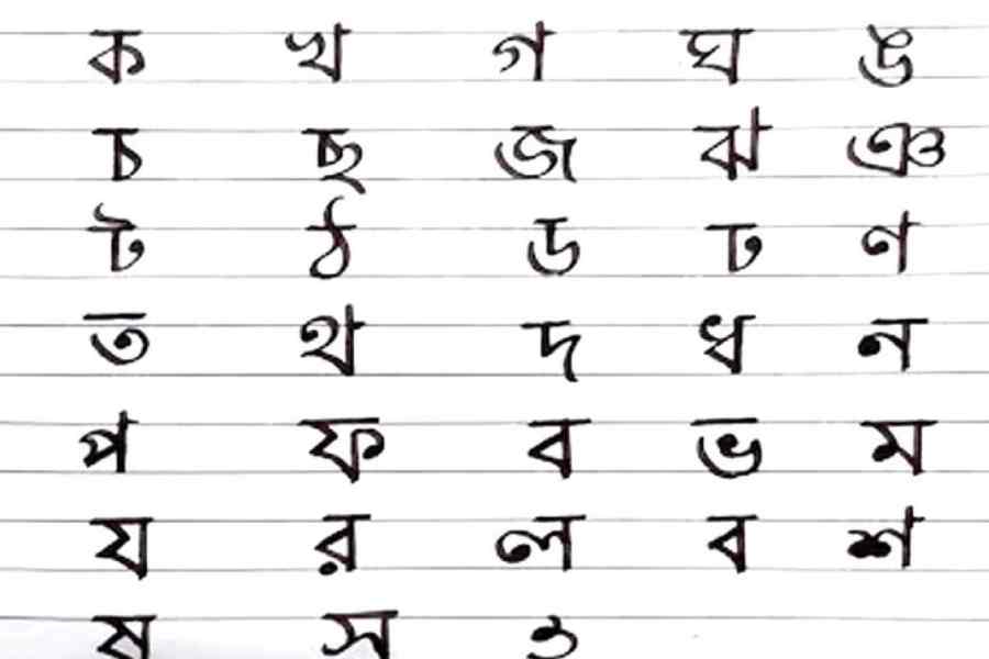 Bengali Alphabet Chart Bengali Language Chart White Bengali Magnet