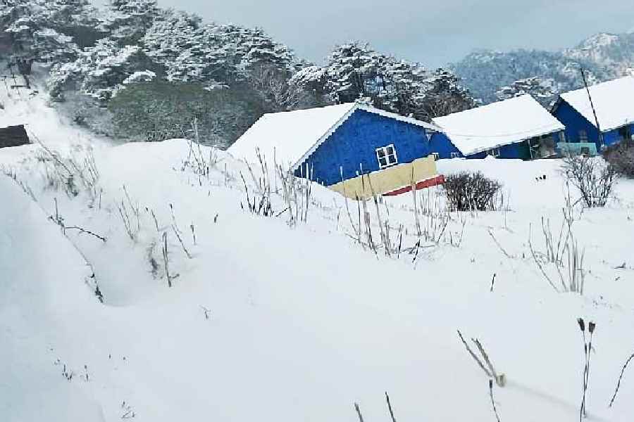 Unseasonal snowfall in Kashmir brings back winterlike conditions