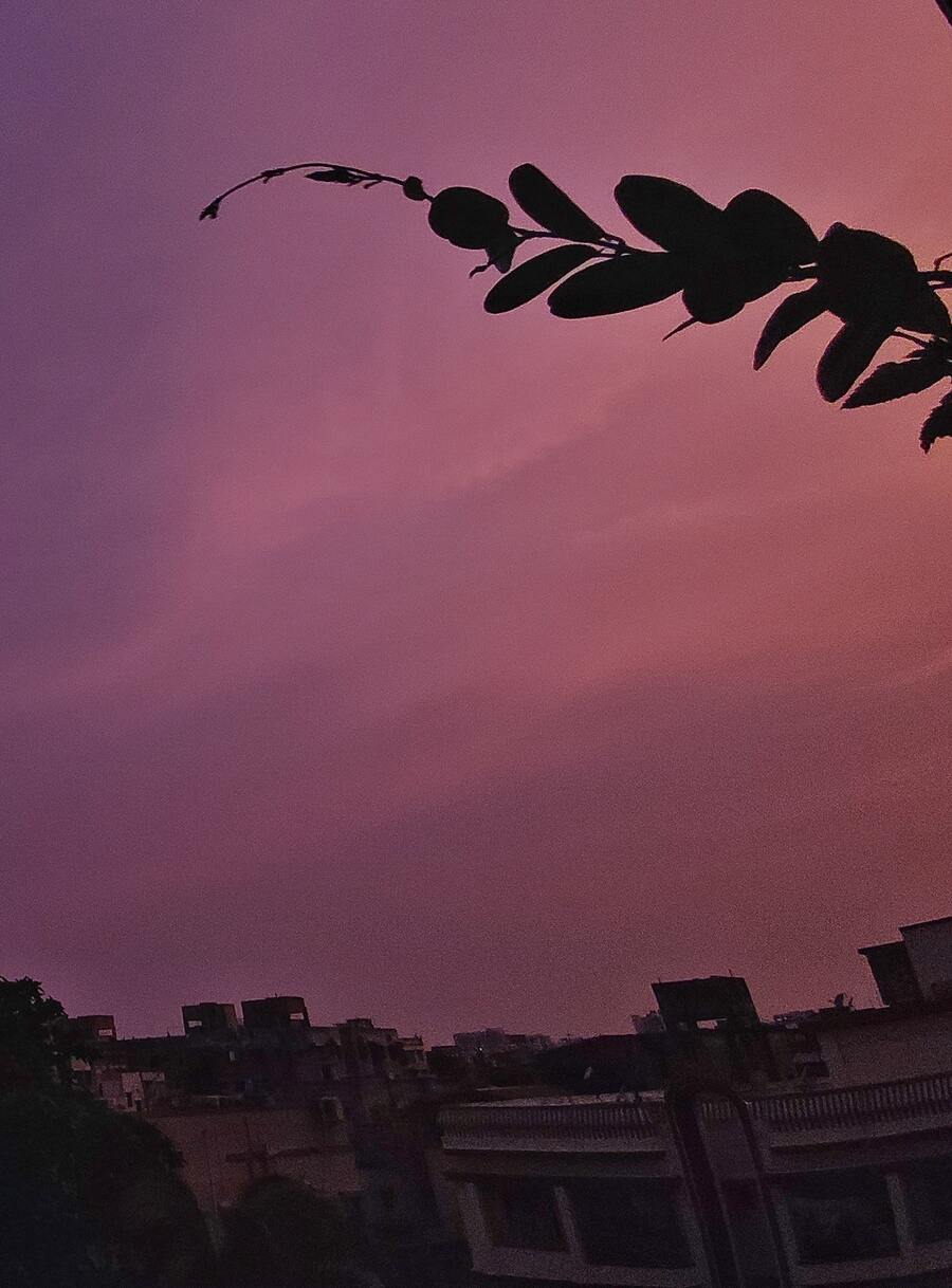The colour of the sky on Wednesday evening turned pink after it remained cloudy for a couple of hours during late afternoon