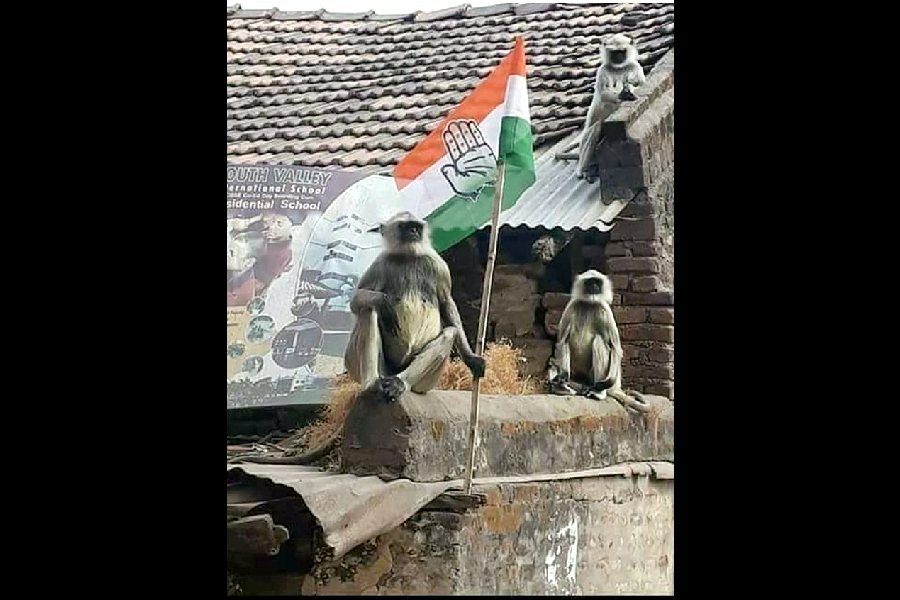 A play on Narendra Modi’s call to voters to chant ‘Jai Bajrang Bali’ while voting