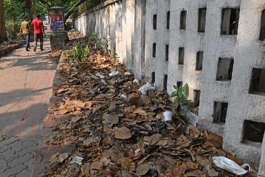 Garbage dumped along Cathedral Road on Monday
