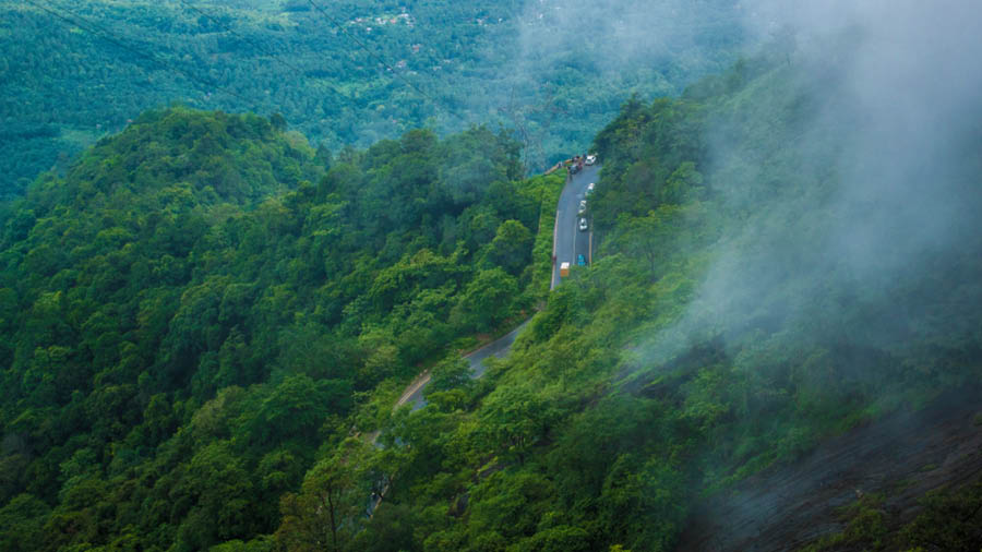 Wayanad district, nestled in the north of Kerala, features the lush green of the Western Ghats — a place that comes alive in the monsoon