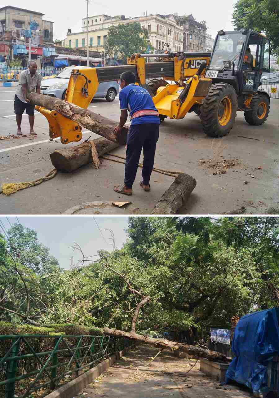 A squall had passed over Alipore observatory (Kolkata) from the northwesterly direction on Monday evening with a maximum wind gust of 84 kmph and lasted for three minutes and over Dumdum from the westerly direction 62 kmph. It lasted for a minute. Meanwhile, several trees were uprooted due to the storm which the Kolkata Municipal Corporation (KMC) workers cleared on Tuesday 