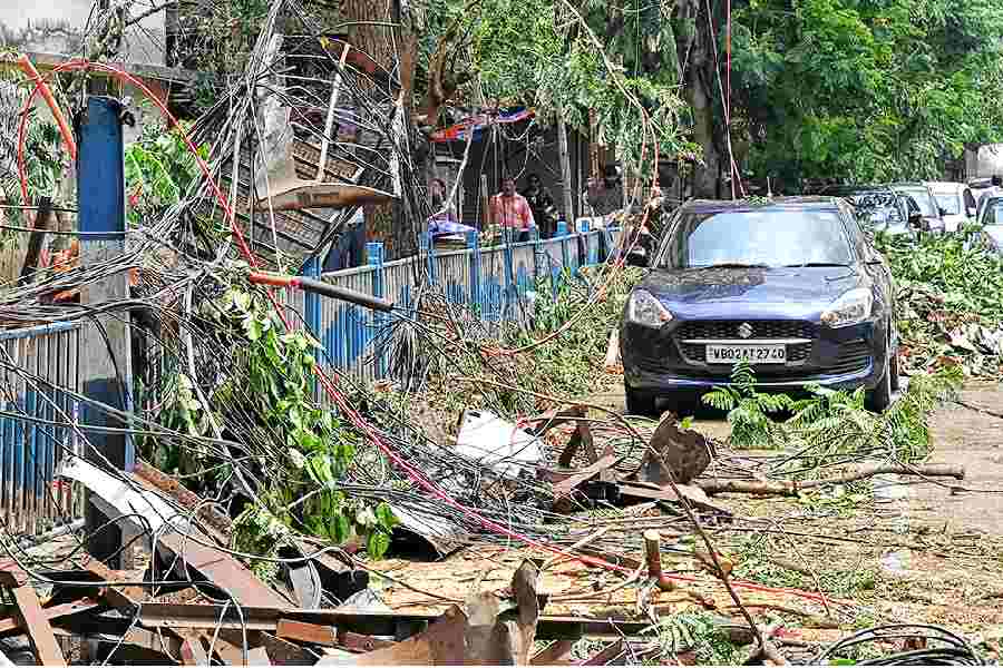 The Maruti Suzuki Swift that got damaged after a tree fell on it on Camac Street on Monday