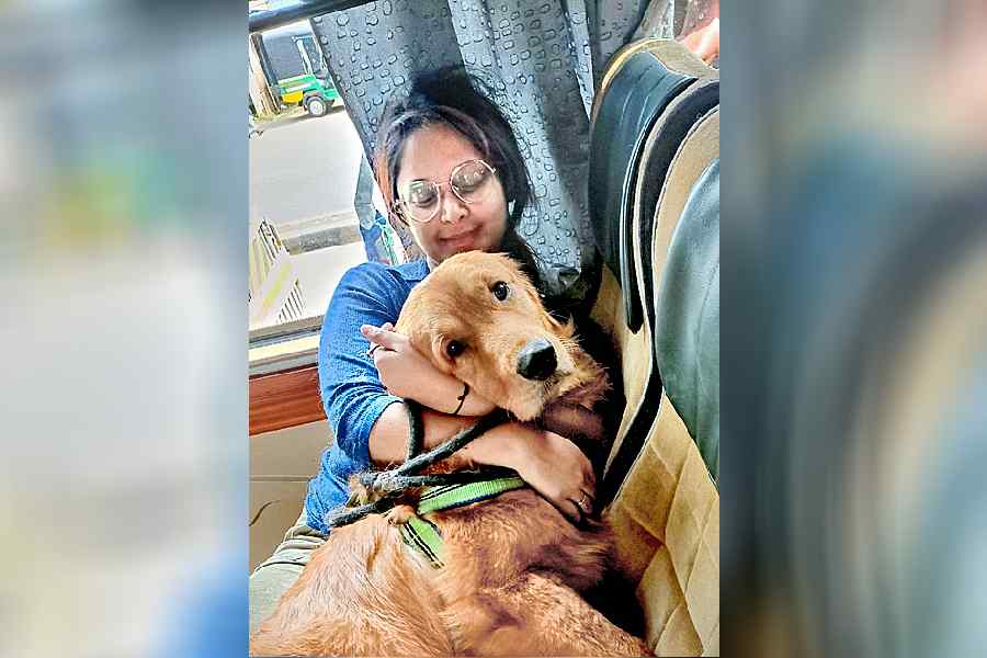 “I just wanted to give a BIG shoutout to Furry Tales and all the co-organisers for arranging the most amazing paw-cation to Mandarmani. My furbaby Donut, a two-year-old golden retriever, had an absolute blast at the beach and resort, and everything was taken care of,” said Donut’s mother Soumili Podder.