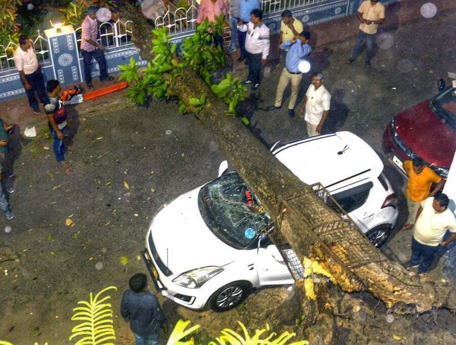 An uprooted tree smashed the windscreen of a car during the thunderstorm in Alipore on Monday evening  
