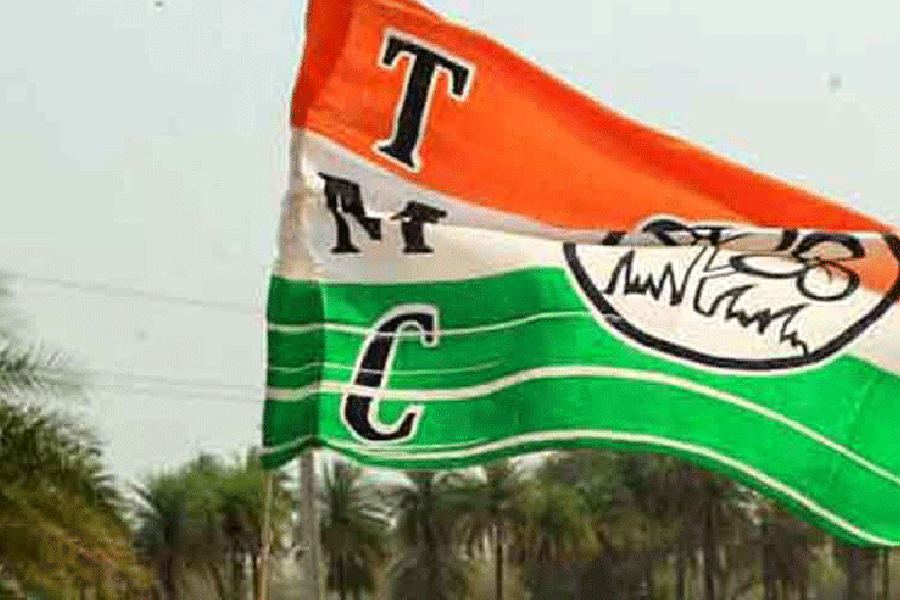 Lok Sabha Bengal Rural Polls Litmus Test For Trinamul Congress Ahead Of 2024 Lok Sabha