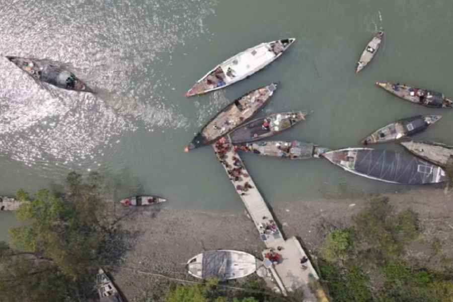 File picture of boats of honey collectors in the Sunderbans