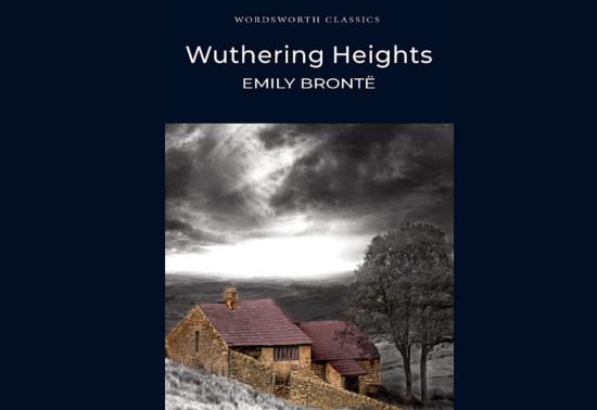 A massive mansion, misty weather and immensely complicated characters make up the plot of Wuthering Heights. It’s a classic in its true sense with a good blend of gothic romance. Pick this one up and get ready to dive deep into the world that Emily has beautifully created for y’all!