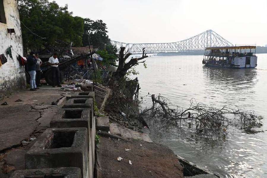 Branches of tree was spurned along the river bank near Burrabazar circular rail station to prevent erosion.