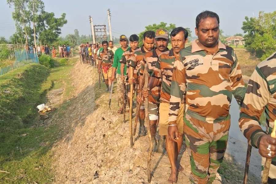 A forest department team during a search operation to trap the tiger