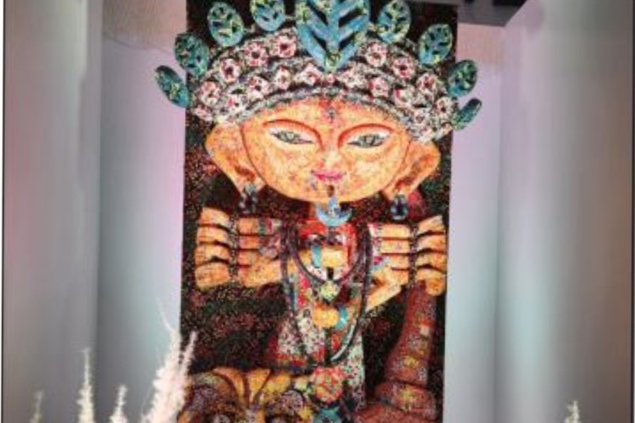 The fabric idol made by the Techno India Group students