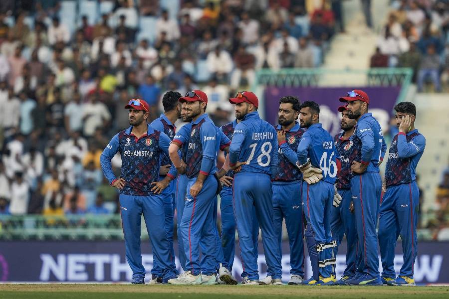 NED vs AFG, World Cup 2023 Highlights: Afghanistan keep semi-final