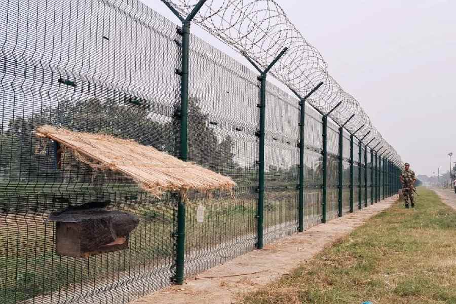 India-Bangladesh Border | Border Security Force Installs Beehives Along ...