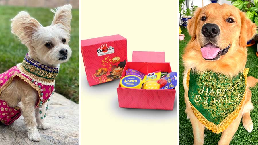 Pamper your pets with stylish outfits, playful bandanas and delightful treat hampers