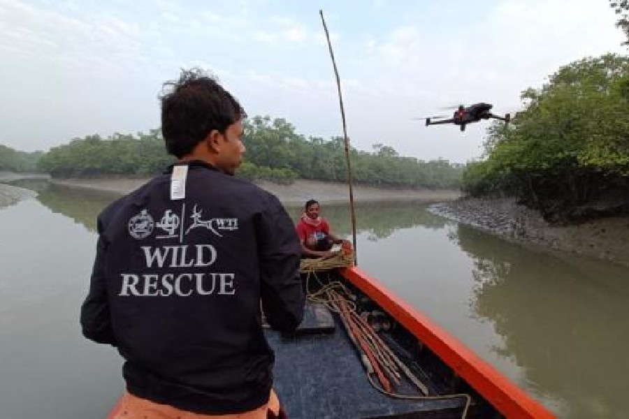 The operator on a boat keeps an eye on the drone hovering above Dhanchi forest