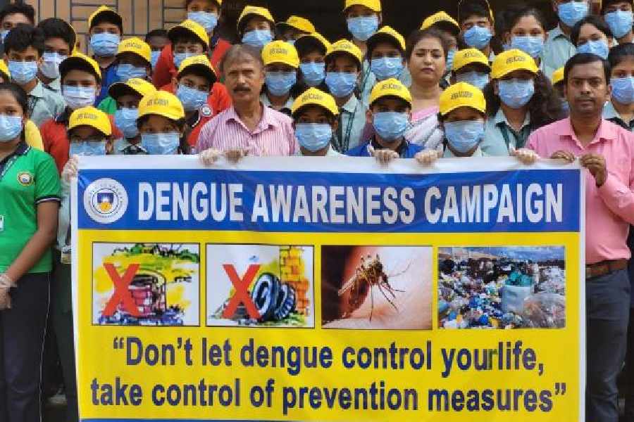 Students clean up their school's locality and educate the residents on regular cleaning of drains and other dos and don'ts to check the spread of dengue