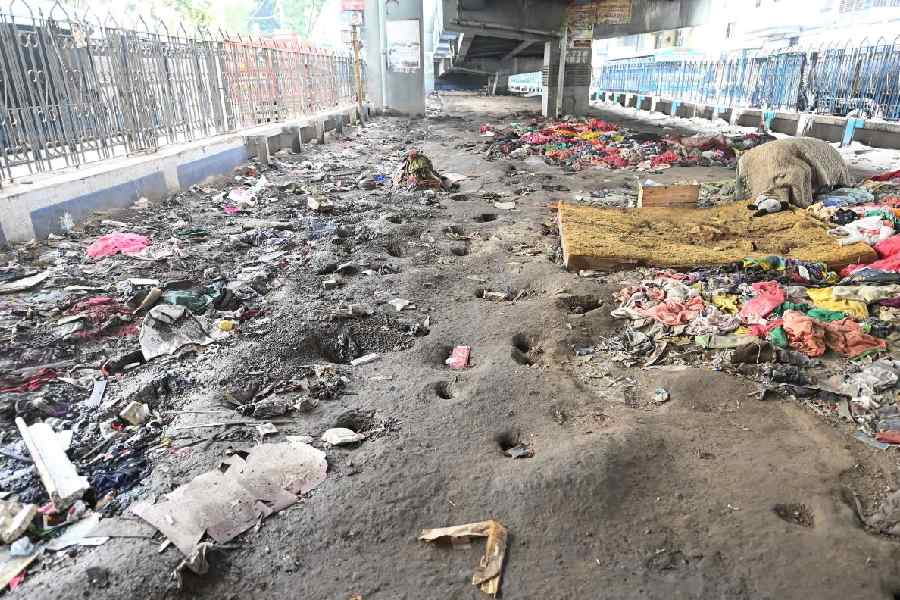 Rat holes under the AJC Bose Road flyover on October 5. This newspaper reported on October 6 how rats had been            eating away at the city’s foundations