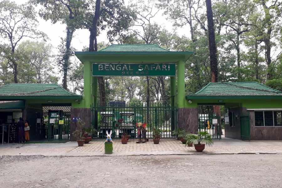 North Bengal | Lion safari and Siberian tiger treat for two zoological ...