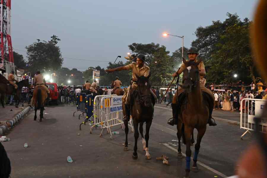 Mounted police on duty outside the Eden on November 5