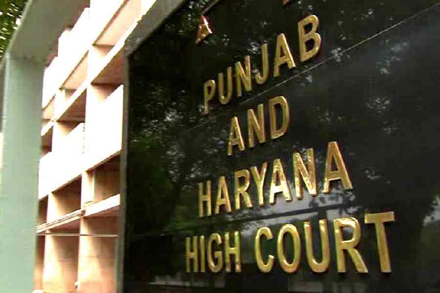 Punjab And Haryana High Court Man Living With A Woman Without