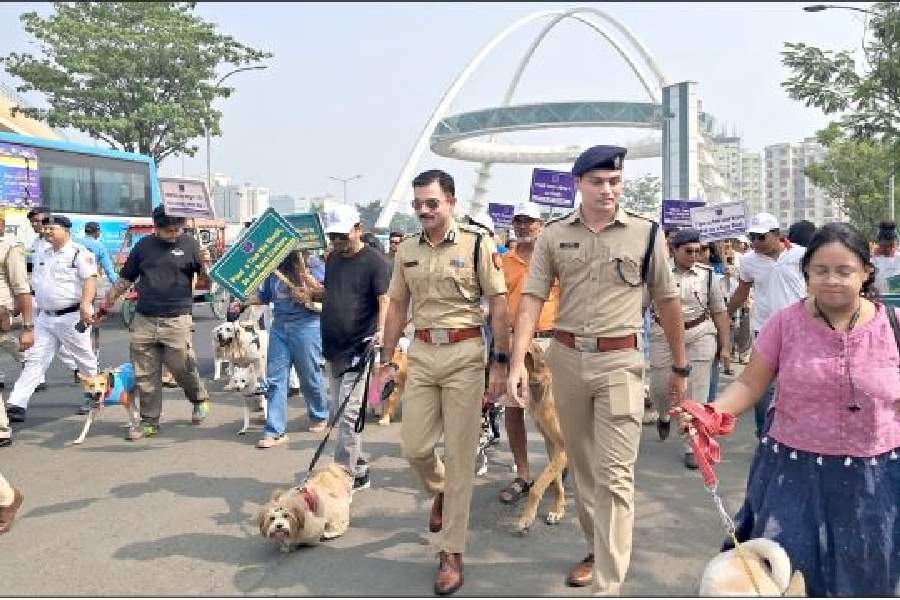 Police commissioner Gaurav Sharma leads the rally for a noise-free Diwali