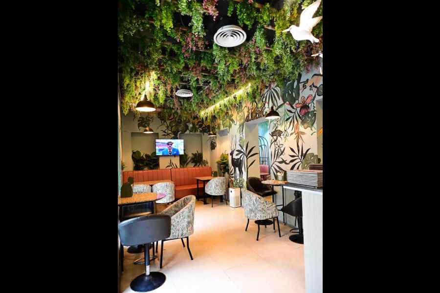 Enter a “jungle” with faux plants and birds embellishing the ceiling. The walls are painted in pastel shades with wild animals