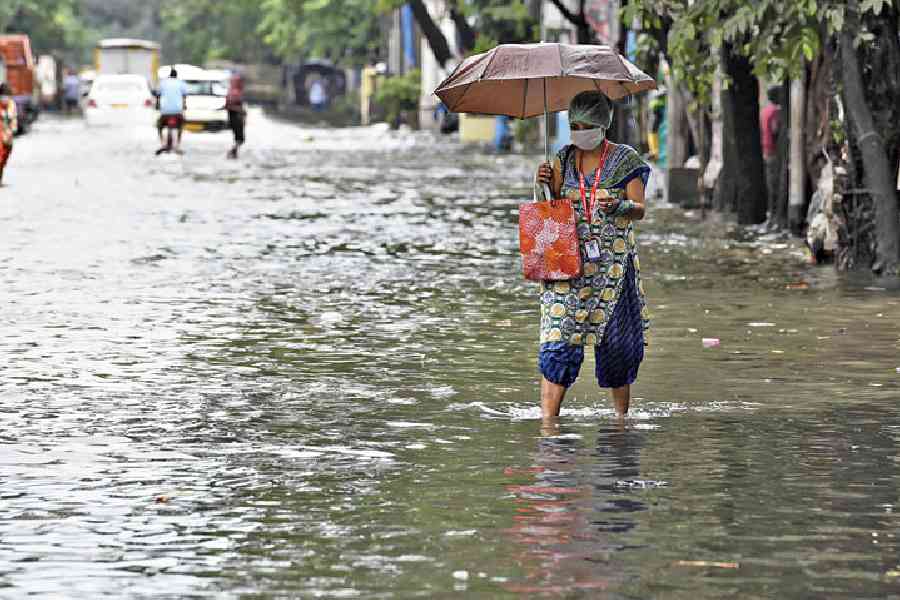 Marathawada | Heavy unseasonal rainfall hits six districts in ...