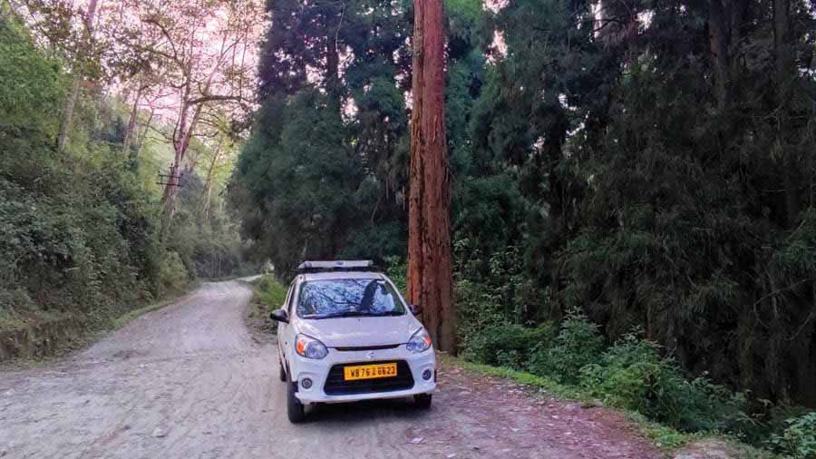 Passing through the bumpy road lined with pine trees to enter Sillery Gaon