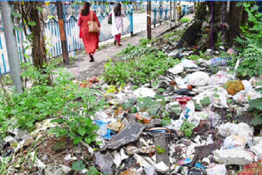 A garbage dump opposite Shyama-prasad Colony