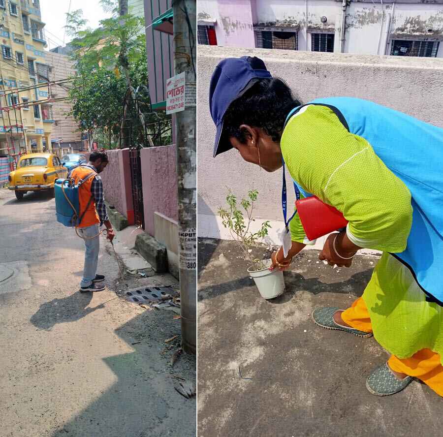 Kolkata Municipal Corporation vector control teams conducted a dengue awareness campaign and cleanliness drive on Monday amid rising cases of dengue in the city